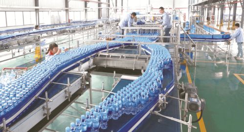 喜報！大豐榮登第二批國家全域旅游示范區名單，擘畫文旅發展新藍圖