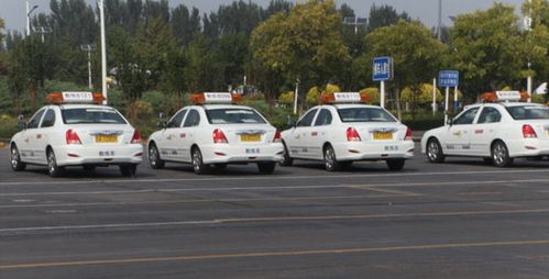 本市機動車駕駛員培訓行業信用評價體系即將全面實施，促進行業規范與服務質量提升