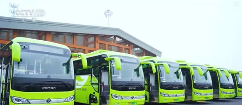 創新迭代、跨界融合與國際合作 中國新能源汽車產業海外投資勢頭強勁